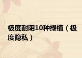 極度耐陰10種綠植（極度隱私）