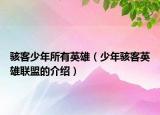 駭客少年所有英雄（少年駭客英雄聯(lián)盟的介紹）