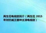兩生花電視劇簡介（兩生花 2015年劉愷威王麗坤主演電視劇）