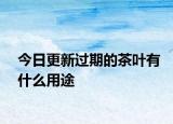 今日更新過期的茶葉有什么用途