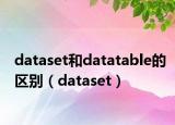 dataset和datatable的區(qū)別（dataset）