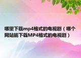 哪里下載mp4格式的電視劇（哪個網站能下載MP4格式的電視?。? /></span></a>
                        <h2><a href=