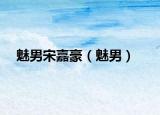 魅男宋嘉豪（魅男）