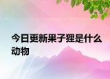 今日更新果子貍是什么動(dòng)物