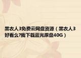 黑衣人3免費云網(wǎng)盤資源（黑衣人3好看么?我下載藍光原盤40G）