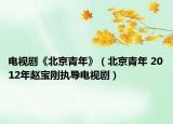 電視劇《北京青年》（北京青年 2012年趙寶剛執(zhí)導(dǎo)電視?。? /></span></a>
                        <h2><a href=