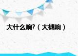 大什么響?（大槻響）