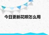 今日更新花唄怎么用