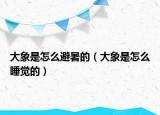 大象是怎么避暑的（大象是怎么睡覺(jué)的）