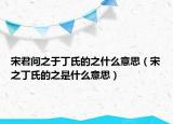 宋君問(wèn)之于丁氏的之什么意思（宋之丁氏的之是什么意思）