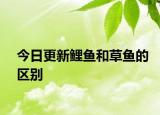 今日更新鯉魚和草魚的區(qū)別