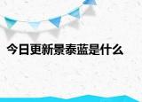今日更新景泰藍(lán)是什么
