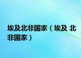 埃及北非國家（埃及 北非國家）