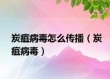 炭疽病毒怎么傳播（炭疽病毒）