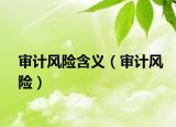 審計風(fēng)險含義（審計風(fēng)險）