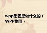 wpp集團(tuán)是做什么的（WPP集團(tuán)）