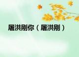 屠洪剛你（屠洪剛）