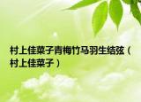 村上佳菜子青梅竹馬羽生結(jié)弦（村上佳菜子）
