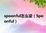 spoonful怎么讀（Spoonful）