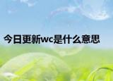 今日更新wc是什么意思