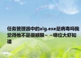 任務(wù)管理器中的alg.exe是病毒嗎我覺得他不是很順眼~ ~哪位大蝦知道