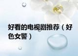 好看的電視劇推薦（好色女警）