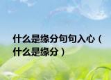 什么是緣分句句入心（什么是緣分）