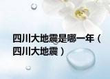 四川大地震是哪一年（四川大地震）