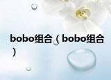 bobo組合（bobo組合）