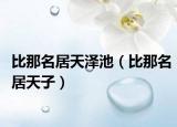 比那名居天澤池（比那名居天子）