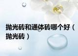 拋光磚和通體磚哪個好（拋光磚）