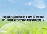 電影雪狗兄弟在哪能看（哪里有《雪狗兄弟》這部電影下載?要迅雷的!要國(guó)語(yǔ)的!）