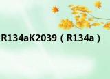 R134aK2039（R134a）