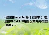 u盤里的recycler是什么意思（U盤里的RECYCLER是什么文件夾?如題 謝謝了）