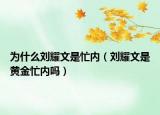 為什么劉耀文是忙內(nèi)（劉耀文是黃金忙內(nèi)嗎）