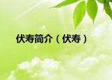 伏壽簡介（伏壽）