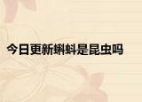 今日更新蝌蚪是昆蟲嗎