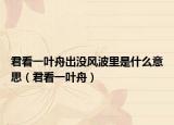 君看一葉舟出沒風波里是什么意思（君看一葉舟）