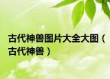 古代神獸圖片大全大圖（古代神獸）