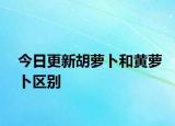 今日更新胡蘿卜和黃蘿卜區(qū)別