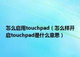 怎么啟用touchpad（怎么樣開啟touchpad是什么意思）