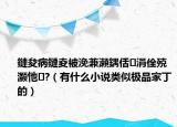 鏈夋病鏈夌被浼兼瀬鍝佸涓佺殑灝忚?（有什么小說類似極品家丁的）