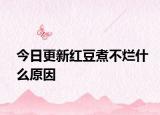 今日更新紅豆煮不爛什么原因