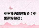 鮑里斯約翰遜簡介（鮑里斯約翰遜）