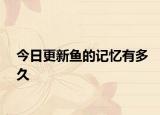 今日更新魚的記憶有多久