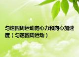 勻速圓周運(yùn)動(dòng)向心力和向心加速度（勻速圓周運(yùn)動(dòng)）