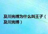 及川光博為什么叫王子（及川光博）