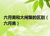 六月黃和大閘蟹的區(qū)別（六月黃）