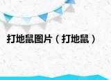 打地鼠圖片（打地鼠）