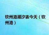 欽州港潮汐表今天（欽州港）
